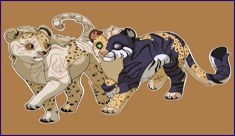 Uncovering Sibling Dynamics And On-Screen Magic