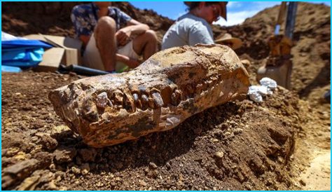 Unveiling Kaylee Kaneshiro's Enigmatic Dating Life: Discoveries And Insights