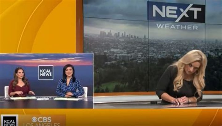 CBS Los Angeles Meteorologist Alissa Carlson Schwartz Fainted on Air Is She Okay? Here's an Upda